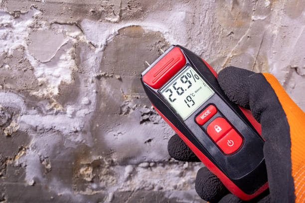  Rossvle, IL Mold Removal Pros