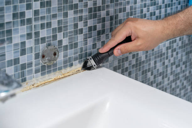 Best Mold Damage Repair  in Rossvle, IL